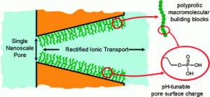 2010-4 Proton-Regulated Rectified Ionic Transport through Solid-State