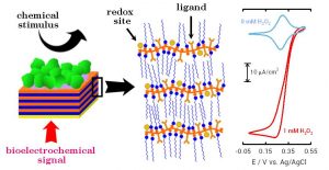 2012-2 Ionic Self-Assembly of Electroactive Biorecognizable Units